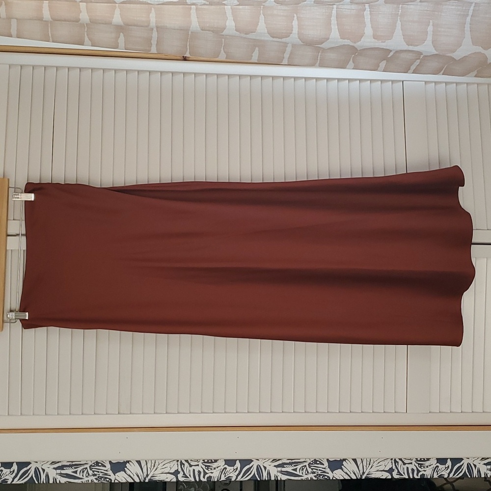 NWOT Express skirt